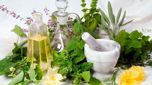 تصویر 4 از فروش اسانس گیاه نعنا + قیمت خرید به صرفه